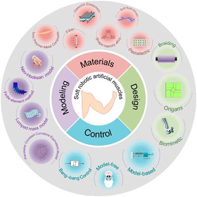 Editorial: Materials, design, modeling and control of soft robotic artificial muscles